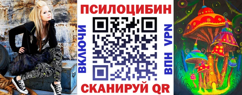 маркетплейс состав  Кирсанов  Псилоцибиновые грибы Magic Shrooms 